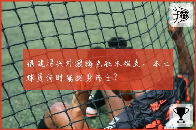 福建浔兴外援梅克独木难支,本土球员何时能挺身而出?